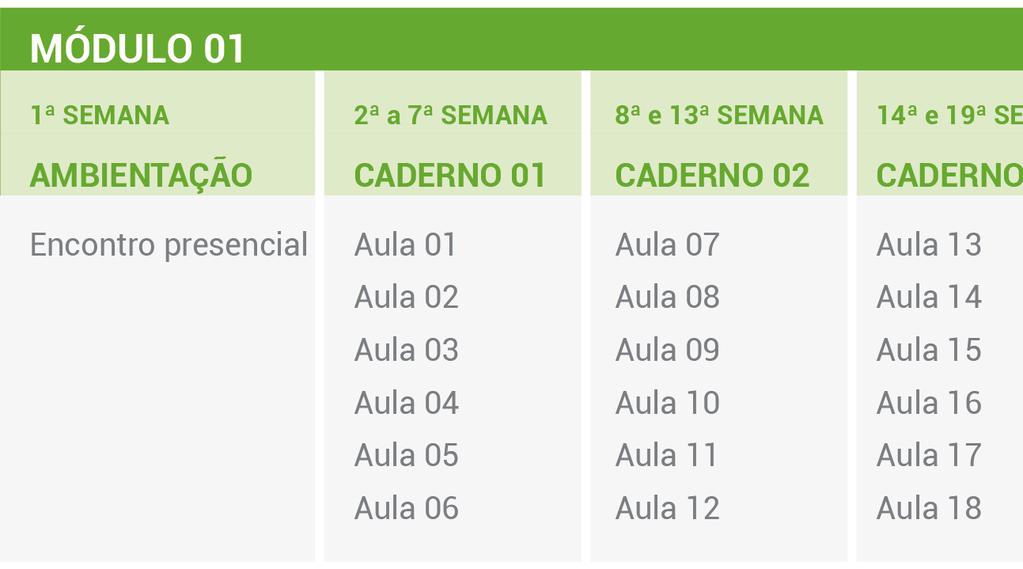 1.2 Período de realização Esse módulo 01 será desenvolvido ao longo de 20 semanas, sendo a primeira semana de ambientação ao curso e a última destinada a uma avaliação presencial.