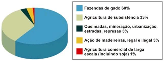 Amazônica para a extração de madeira e para