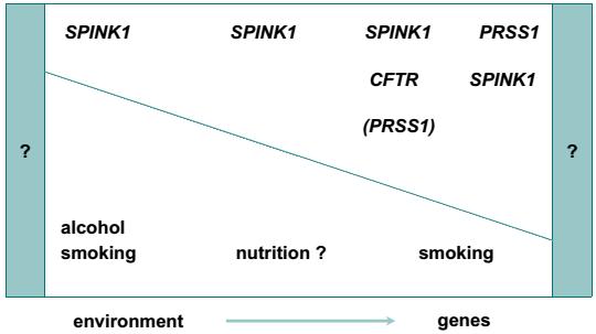 Pancreatite Hereditária Associações das pancreatites crônicas idiopática e hereditária com fatores ambientais Pancreatite alcóolica Pancreatite crônica tropical