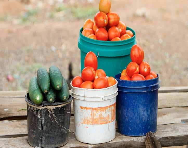 6 O preço de alimentos, categoria com maior peso na inflação, aumentou pela terceira vez consecutiva. Em Julho, a variação foi de 2.24%, 81.00pb acima da variação de Maio.