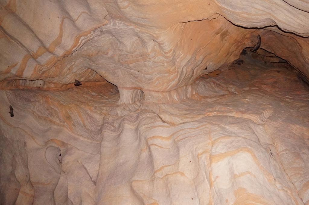 (B) Detalhe do teto com noção de escala da área observada. Caverna do Limoeiro, Medicilânia (PA).