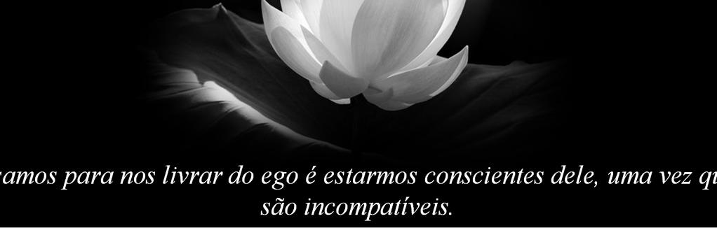 negativismo neste instante? Observar as diferentes formas de infelicidade, das pequenas irritação, saturação.