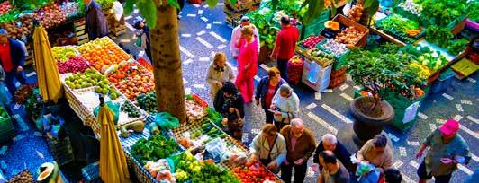 EXPERIENTE GUIA PRIVATIVO CIRCUITO DA MADEIRA 5 dias BELEZA NATURAL, CULTURA E GASTRONOMIA circuito exclusivo NORTRAVEL FUNCHAL CÂMARA DE LOBOS CABO GIRÃO PORTO MONIZ CAMACHA PICO DO AREEIRO SANTANA