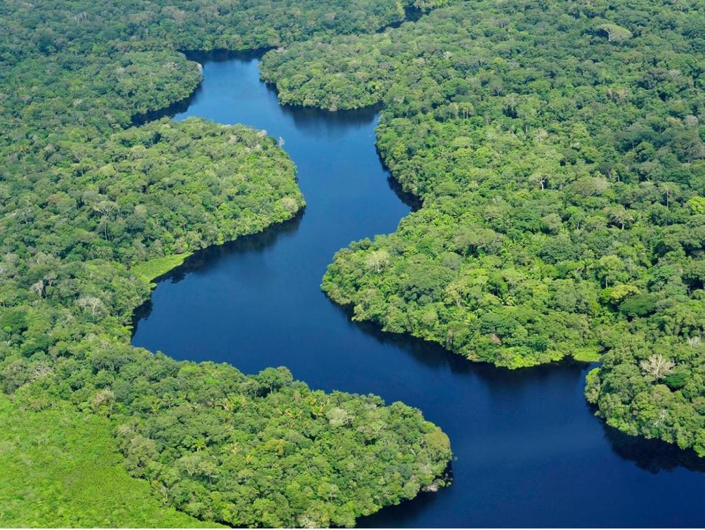 Missão Ajudar o Brasil a conservar o meio ambiente através de incentivos
