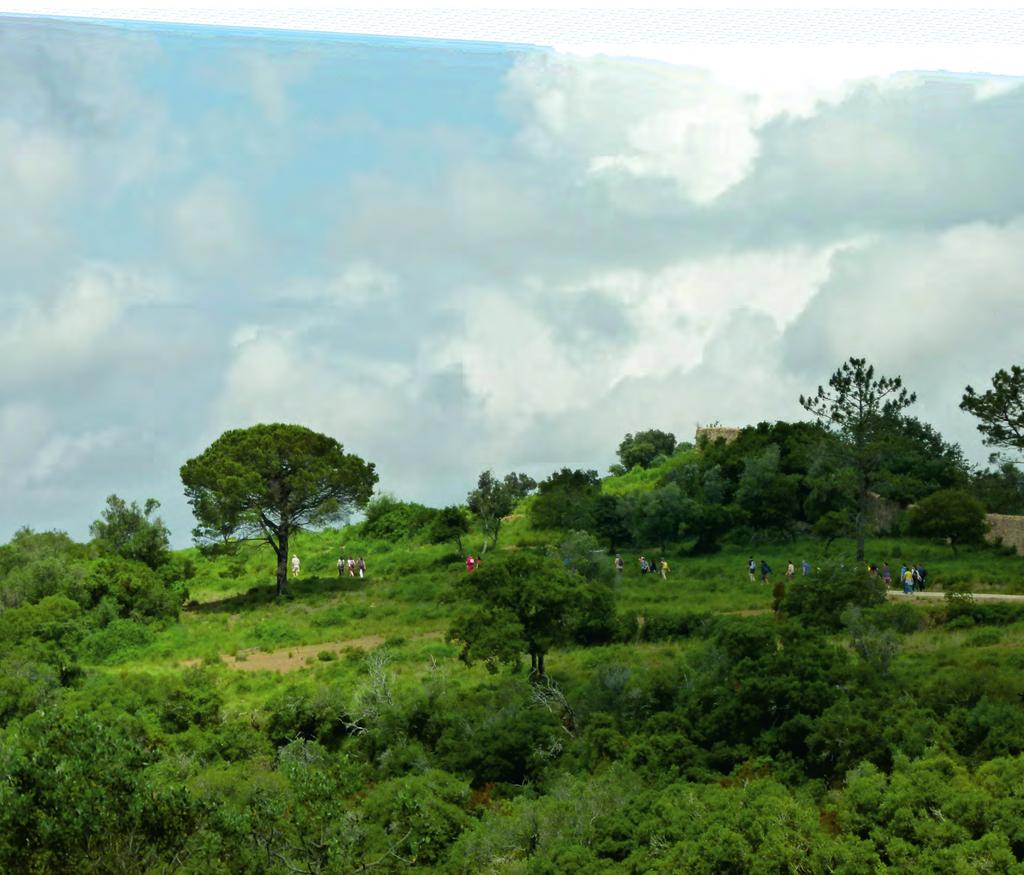Tapada Nacional de Mafra (TNM) é uma floresta mediterrânica com uma elevada diversidade de flora e fauna autóctones.