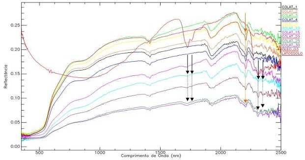 Figuras 32 a 37: Assinaturas espectrais de