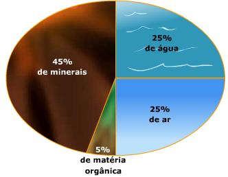 A composição dos solos A maior parte dos solos é composto por areia, argila, silte e húmus; A ciclagem dos