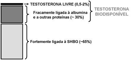 sexuais H. Foliculoestimulante H.