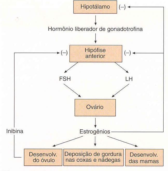 aromatizada. Aromateze H.