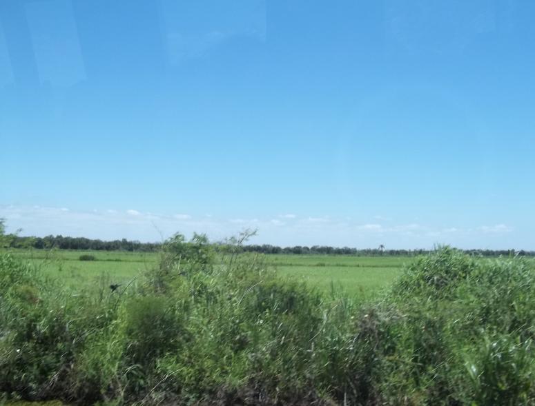 14 2 As atuais condições do assentamento Integração Gaúcha e os novos paradigmas da produção orgânica do arroz.