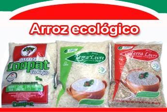 35 ANEXO A Embalagens do arroz ecológico produzido