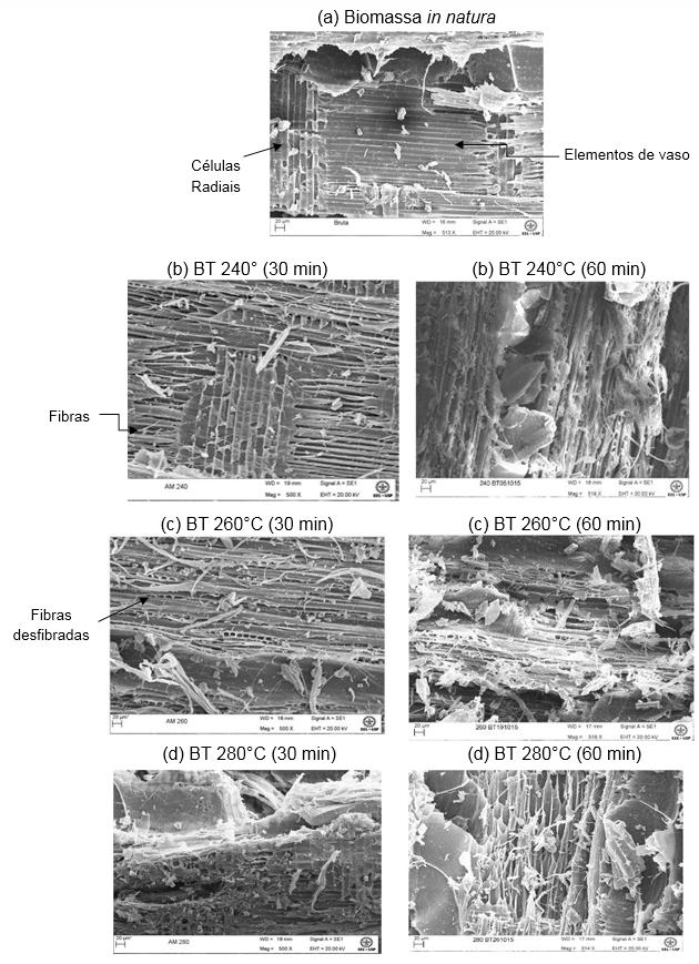 A influência da torrefação na moagem do Eucalyptus in natura e torrefeito para utilização como biocombustível