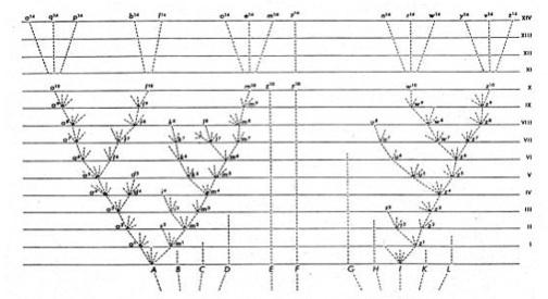 Capítulo 2 Árvores Filogenéticas A filogenia é a história da evolução de uma espécie ou de qualquer grupo hierarquicamente reconhecido 1.