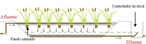 3.2.5.1 Wetland Construído Vertical com Fundo Saturado (WCV-FS) 40 Os WCV-FS possuem os mesmos princípios de tratamento que os WCV.