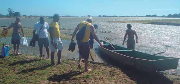 capivara com os seus filhotes.