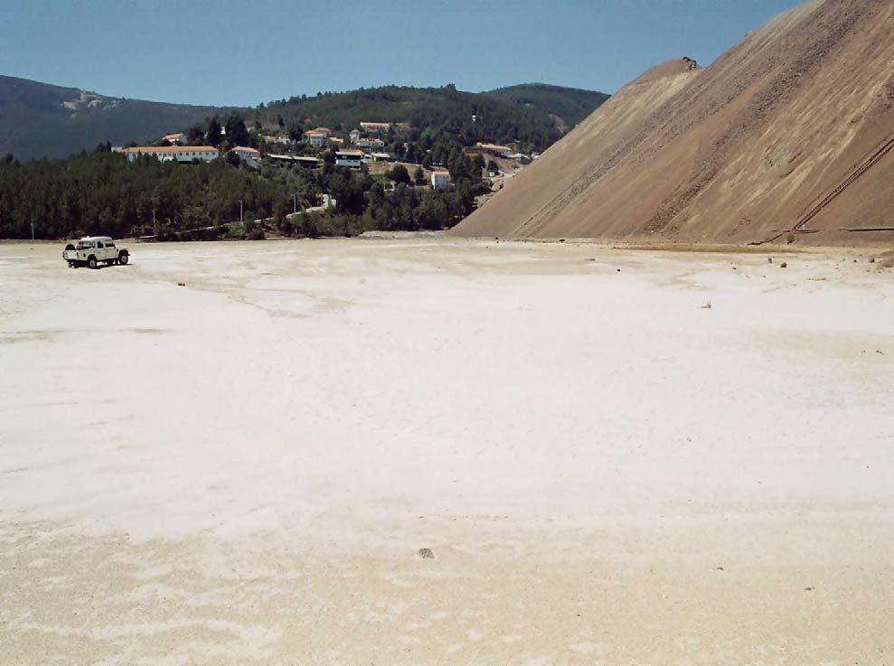 Lago de lamas