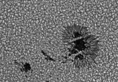 As temperaturas nos centros das manchas cai para 3700 K (em comparação com 5700 K para a fotosfera circundante). Elas geralmente duram vários dias, embora as maiores podem viver por várias semanas.