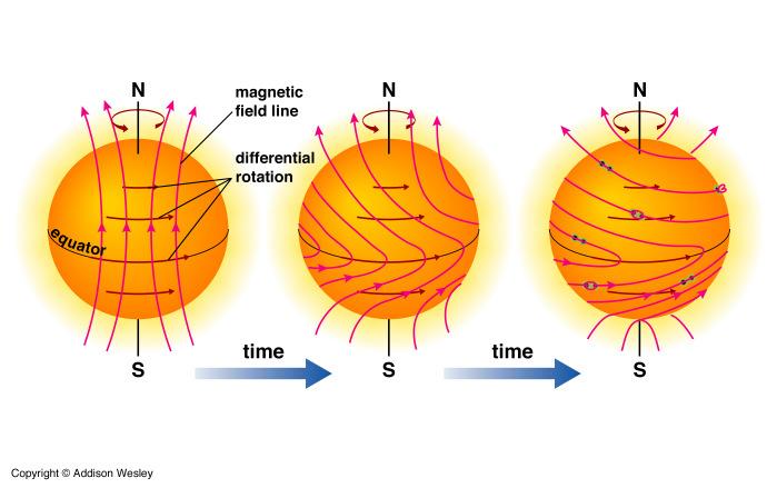 Rotação diferencial do Sol em função da latitude pode tornar uma linha orientada nortesul e enrola-la uma vez ao redor do Sol em cerca de 8 meses.
