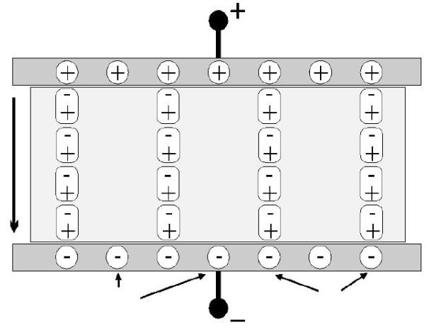 4 Q Q E dielérico Figura 3.3 Cargas em um capacior plano carregado [Piefor, 00].