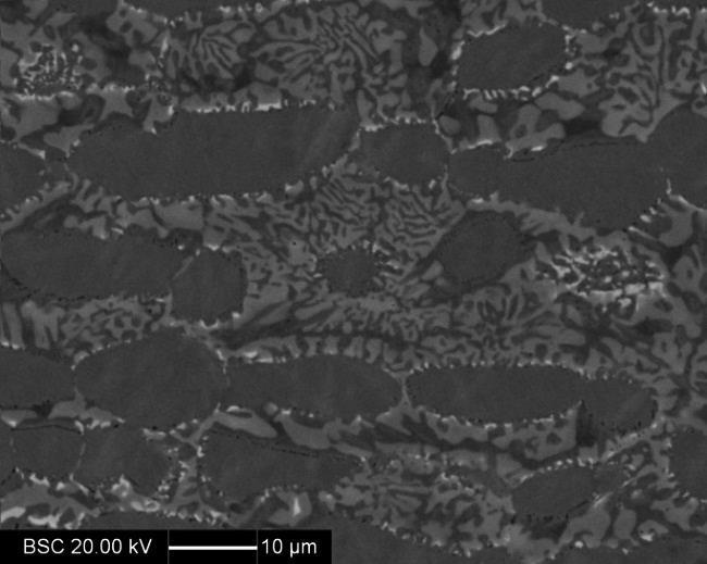 Os ensaios foram realizados em triplicata. 3 RESULTADOS A Figura 1 apresenta as imagens de elétrons retroespalhados das amostras envelhecidas a 750 C.