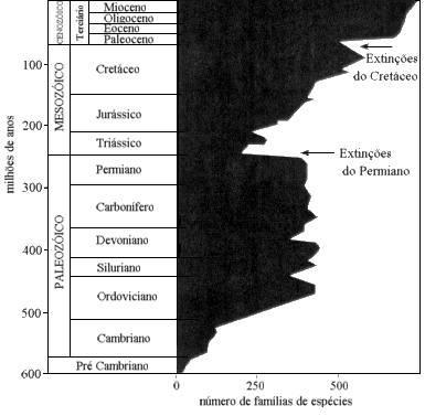 Era Paleozoica O fim do Paleozoico é marcado por uma grande