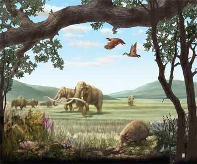 Era Cenozoica No período Quaternário (há ~2 milhões de anos) evoluíram as espécies