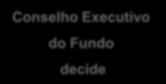 Finalidades do Fundo BIS Investimento em Negócios Sociais Conselho Executivo do Fundo