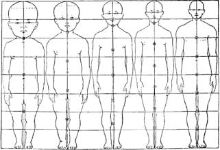 Evolução dos genes Hox em Metazoários Expressão segmento-específica de genes Hox no