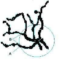 Figura 5 - Uma pequena seção de uma imagem é mostrada, com um simples círculo correspondendo ao raio selecionado em um algum ponto durante a análise.