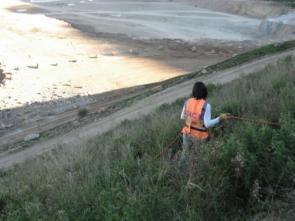 Biodiversidade da ciência à