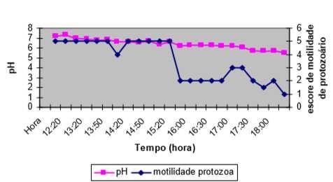 Após três horas do período de indução, foi observado que a motilidade dos protozoários sofreu uma diminuição significativa (p<0,05), ocorrendo grande comprometimento desta característica (Figura 14).