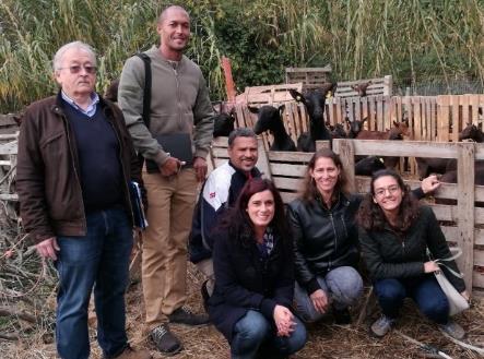 Nº DE VISTORIAS lácteos, no âmbito do PIGA, na Direção de Serviços de Alimentação e Veterinária da Região (DSAVR) de Lisboa e Vale do Tejo. Figura 1-Equipa de representantes da ARFA e da DGAV.