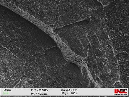 Após 15 dias de hidrogenação começa a se observar o efeito do hidrogênio sobre a morfologia da fratura, ao invés de dimples profundos se observa uma morfologia de fratura associada a uma leve mudança