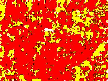 5 µm; Grid152x114 c) d) =20 µm; Mapa de Fases; Step=0.