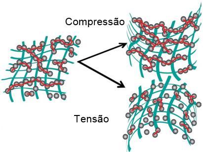 48 Figura 17: Deformação em desenho esquemático (a) e no elemento sensor real (b) (a) Fonte: Adaptado de [56] (b) Na figura acima, a compressão