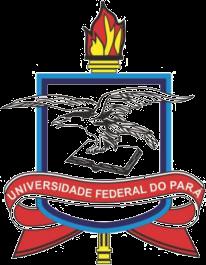 Universidade Federal do Pará Instituto de Geociências Programa de Pós-Graduação em Geologia e Geoquímica PETROGRAFIA, GEOQUÍMICA E