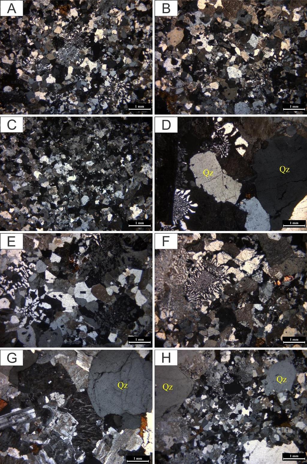 Figura 9 - Principais texturas presentes em escala microscópica no Granito Gradaús. (A), (B) e (C) Textura granular subautomórfica comum às diversas fácies.