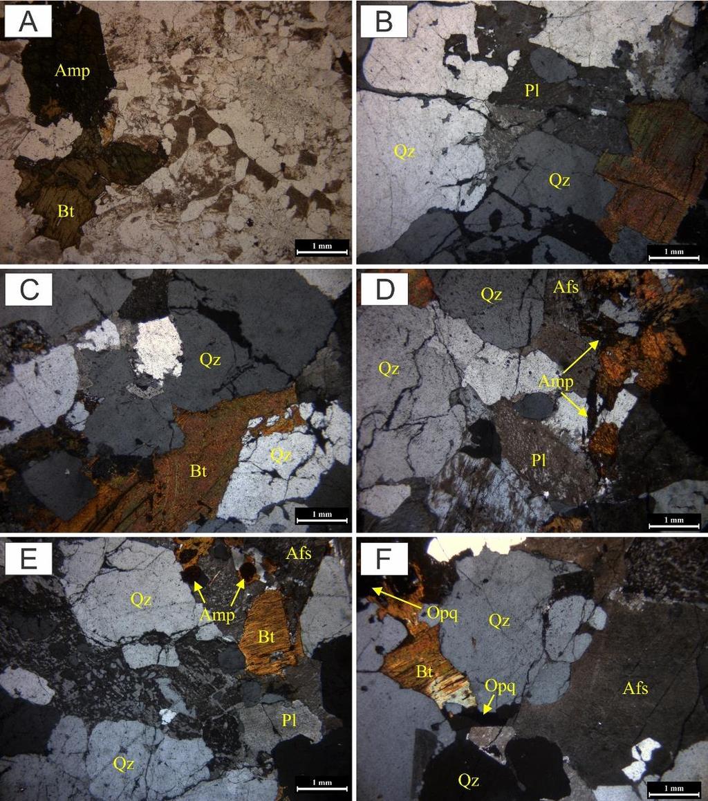 Figura 10 - Aspectos texturais dos minerais máficos presentes nas rochas do Granito Gradaús.