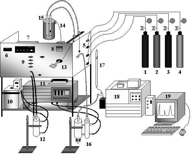 CAPÍTULO 3 Materiais e Métodos 45 Figura 3.1: Esquema da unidade reacional.