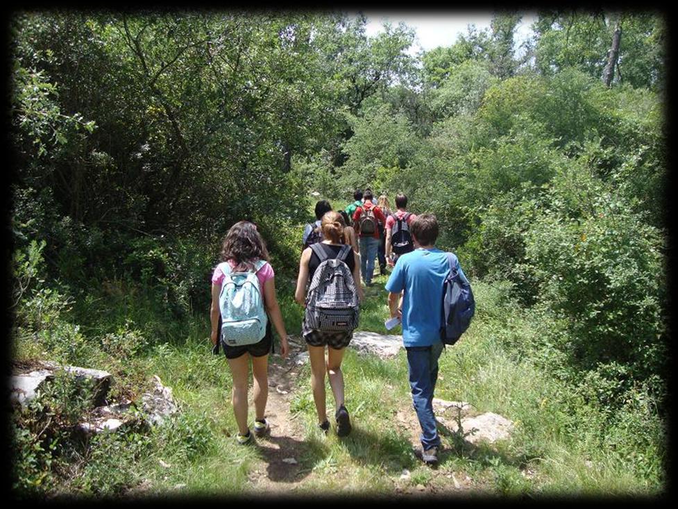 Saída de Campo -realização de um percurso pedestre desde a localidade de Cadoiço até à localidade de Carvalhal; - registo do percurso no GPS; - trabalho de grupo: registo fotográfico e recolha de