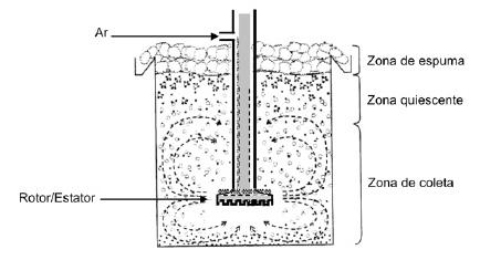 INTRODUÇÃO A flotação consiste na separação de partículas minerais através da introdução de bolhas de ar a uma polpa mineral.