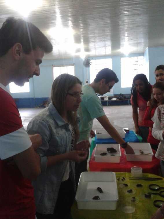 Bolsistas Cassiano e Claudia mostrando espécimes zoológicos aos