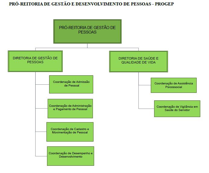 Figura 7: Organograma da PróReitoria de Gestão e desenvolvimento de Pessoas Progep A PróReitoria de Gestão de Pessoas (Progep) foi criada em 16 de maio de 2014 com a nomeação da Professora Izaura