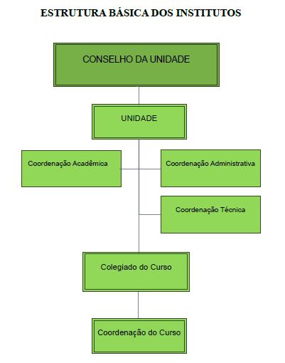 Figura 11: Estrutura Básica dos Institutos.