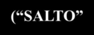 3. VÍRUS DA A MECANISMOS DE DIVERSIDADE GENÉTICA 3-) RECOMBINAÇÕES ( SALTO DE RNA POLIMERASE VIRAL) ENTRE SEGMENTOS HOMÓLOGOS DE DOIS VÍRUS