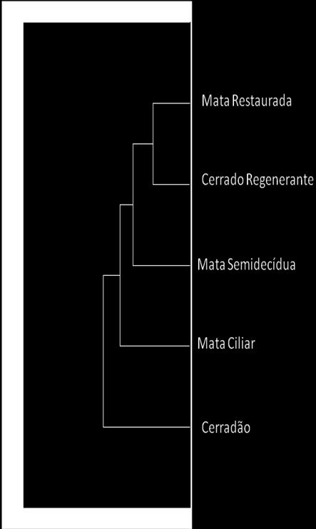 Figura 23- Dendograma gerado a partir de análise de similaridade de Bray- Curtis entre
