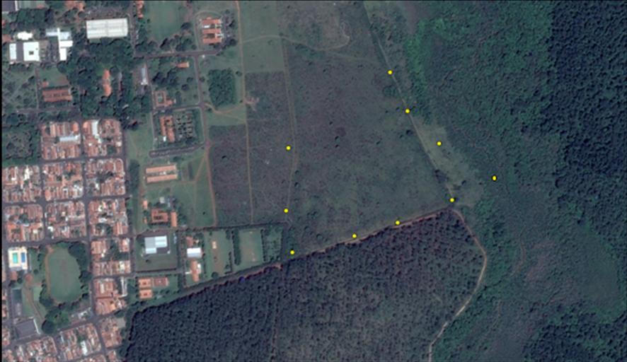 130 Figura 4 - Visualização dos pontos amostrados no limite sul do campus da Universidade Estadual Paulista - UNESP com a área nordeste da Floresta Estadual Edmundo Navarro de Andrade - FEENA no