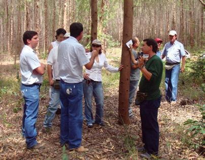 Durante os dias 22, 23 e 24 de abril foram expostos temas como Preparo do terreno (implantação e reforma), Combate às formigas cortadeiras, Controle de matocompetição, Plantio (manual e mecanizado),