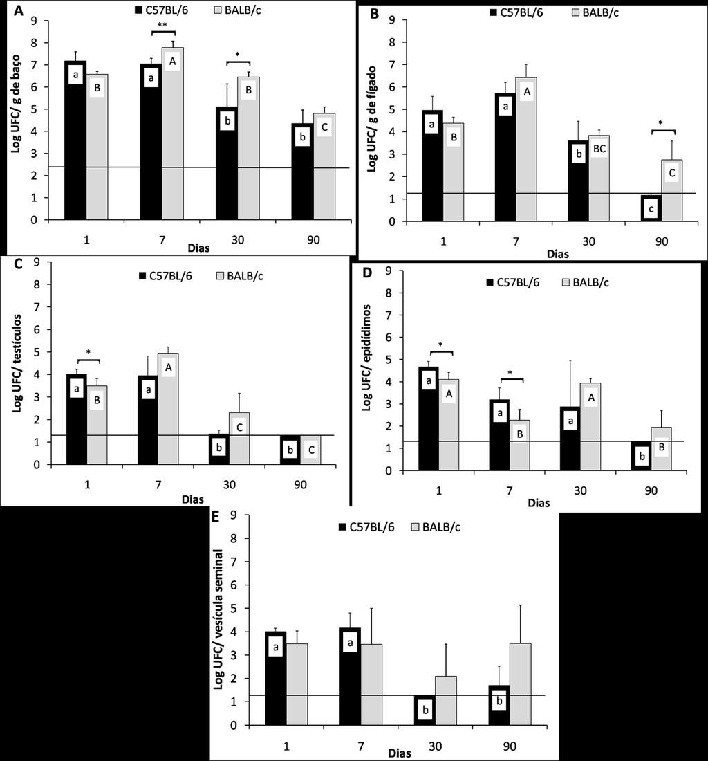 fase crônica da infecção associada à elevada colonização bacteriana dos órgãos. Figura 2: Cinética de infecção de Brucella ovis em camundongos machos BALB/c e C57BL/6.