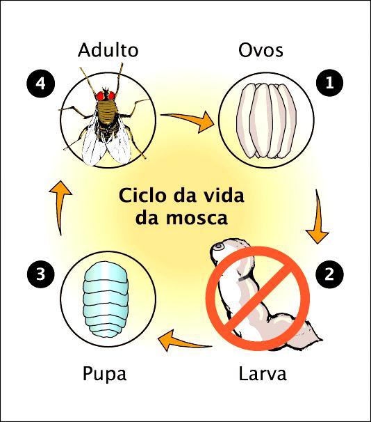 desenvolvimento da fase larvar (espectro de ação).